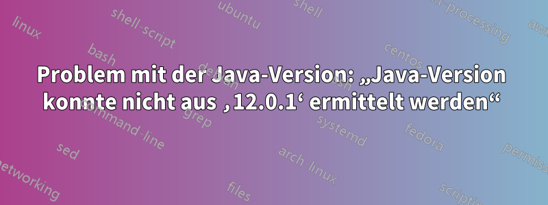 Problem mit der Java-Version: „Java-Version konnte nicht aus ‚12.0.1‘ ermittelt werden“