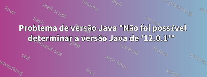 Problema de versão Java "Não foi possível determinar a versão Java de '12.0.1'"