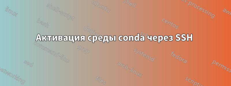 Активация среды conda через SSH