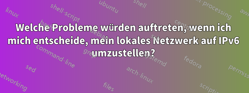 Welche Probleme würden auftreten, wenn ich mich entscheide, mein lokales Netzwerk auf IPv6 umzustellen?