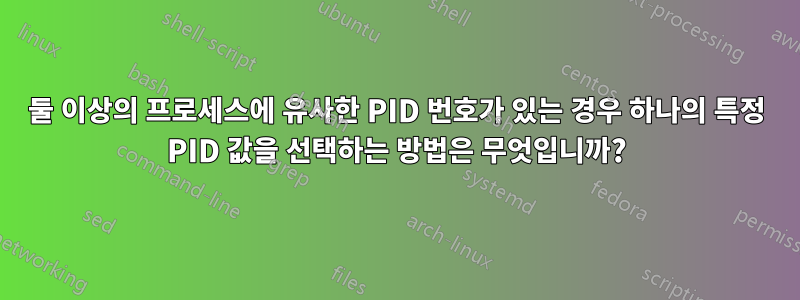 둘 이상의 프로세스에 유사한 PID 번호가 있는 경우 하나의 특정 PID 값을 선택하는 방법은 무엇입니까?