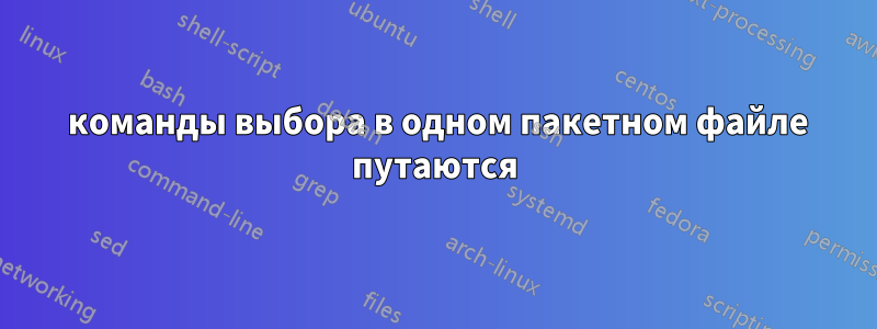 2 команды выбора в одном пакетном файле путаются