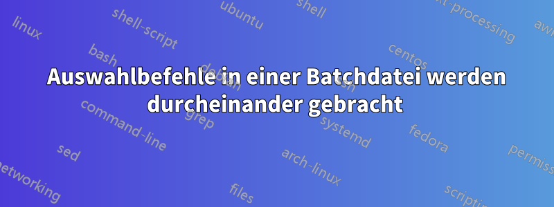2 Auswahlbefehle in einer Batchdatei werden durcheinander gebracht