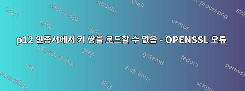 p12 인증서에서 키 쌍을 로드할 수 없음 - OPENSSL 오류