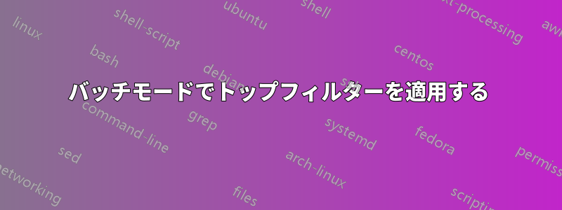 バッチモードでトップフィルターを適用する