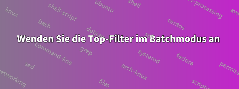 Wenden Sie die Top-Filter im Batchmodus an
