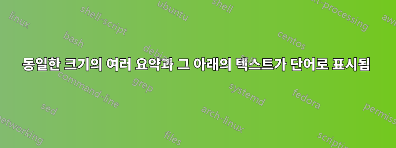 동일한 크기의 여러 요약과 그 아래의 텍스트가 단어로 표시됨