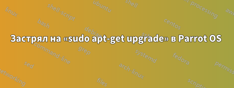 Застрял на «sudo apt-get upgrade» в Parrot OS