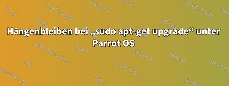 Hängenbleiben bei „sudo apt-get upgrade“ unter Parrot OS