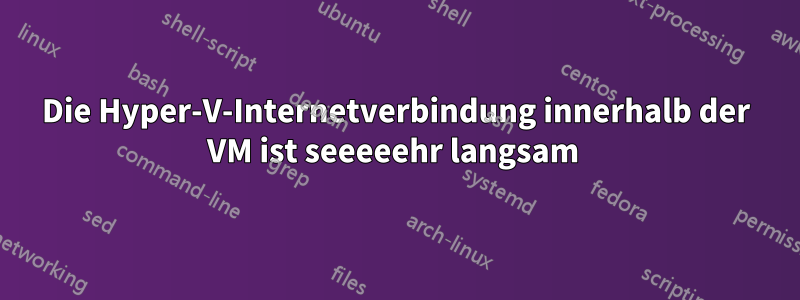 Die Hyper-V-Internetverbindung innerhalb der VM ist seeeeehr langsam 