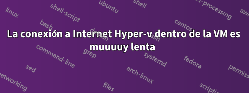 La conexión a Internet Hyper-v dentro de la VM es muuuuy lenta 