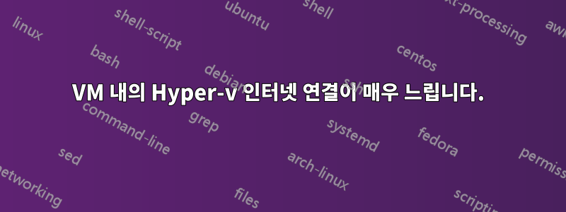 VM 내의 Hyper-v 인터넷 연결이 매우 느립니다. 