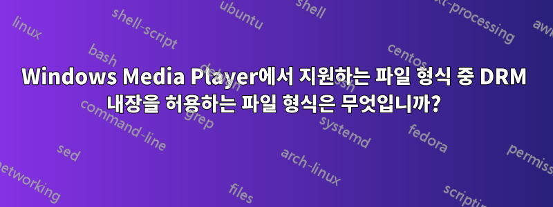 Windows Media Player에서 지원하는 파일 형식 중 DRM 내장을 허용하는 파일 형식은 무엇입니까?