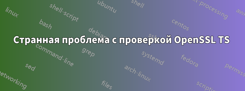 Странная проблема с проверкой OpenSSL TS