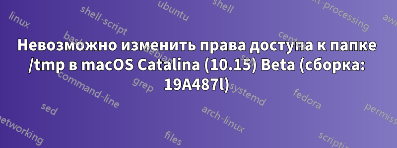 Невозможно изменить права доступа к папке /tmp в macOS Catalina (10.15) Beta (сборка: 19A487l)