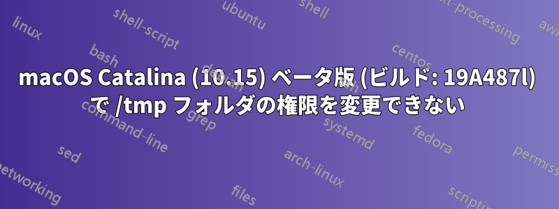 macOS Catalina (10.15) ベータ版 (ビルド: 19A487l) で /tmp フォルダの権限を変更できない