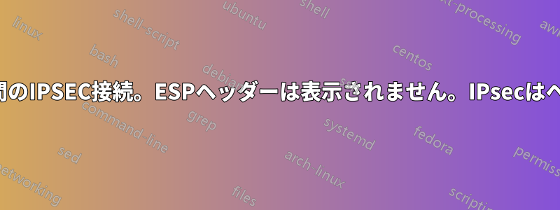 SIPクライアントとPCSCF間のIPSEC接続。ESPヘッダーは表示されません。IPsecはヘッダーに適用されません。