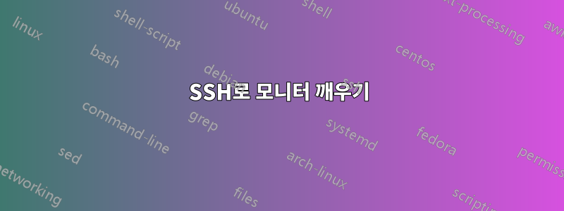SSH로 모니터 깨우기
