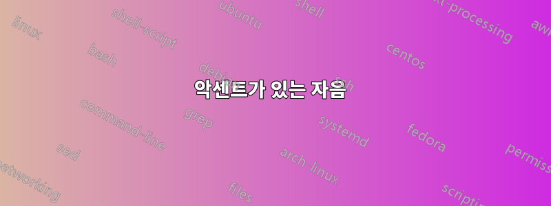 악센트가 있는 자음 