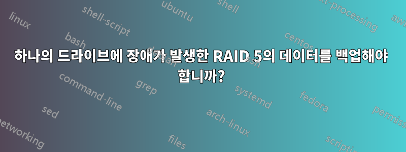 하나의 드라이브에 장애가 발생한 RAID 5의 데이터를 백업해야 합니까?