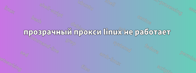 прозрачный прокси linux не работает