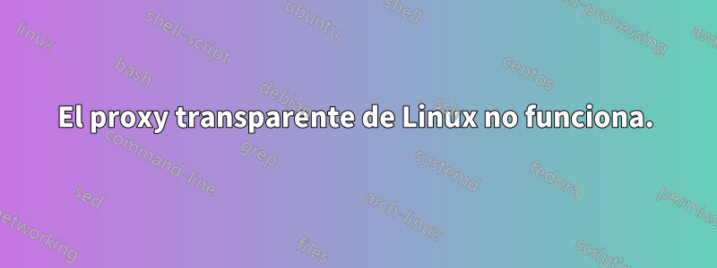 El proxy transparente de Linux no funciona.