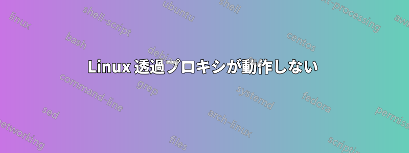 Linux 透過プロキシが動作しない