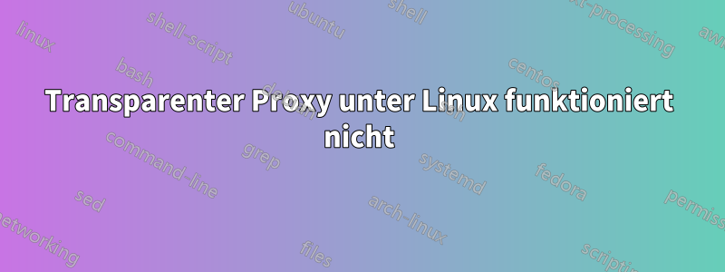 Transparenter Proxy unter Linux funktioniert nicht