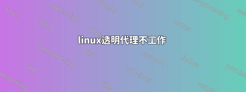 linux透明代理不工作