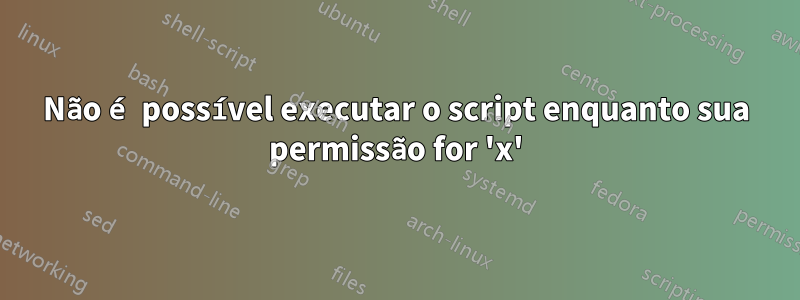 Não é possível executar o script enquanto sua permissão for 'x'