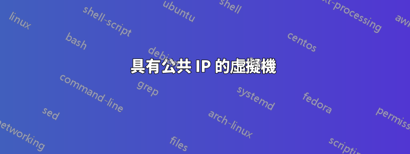 具有公共 IP 的虛擬機