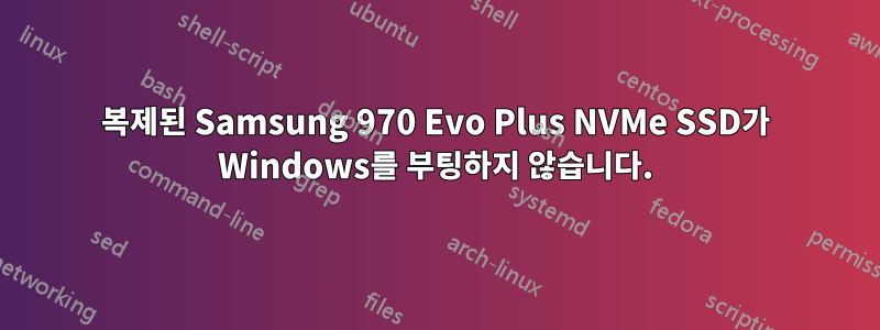 복제된 Samsung 970 Evo Plus NVMe SSD가 Windows를 부팅하지 않습니다.