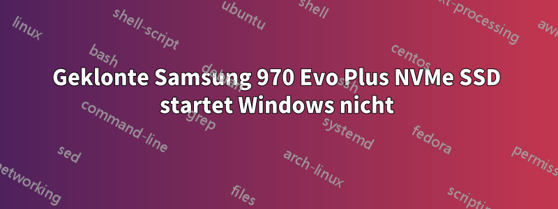 Geklonte Samsung 970 Evo Plus NVMe SSD startet Windows nicht
