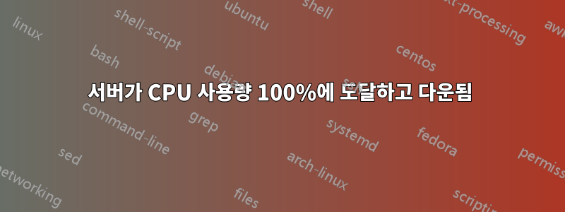 서버가 CPU 사용량 100%에 도달하고 다운됨