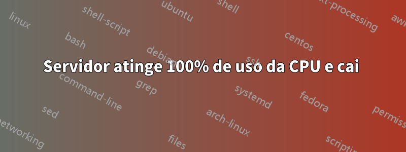 Servidor atinge 100% de uso da CPU e cai