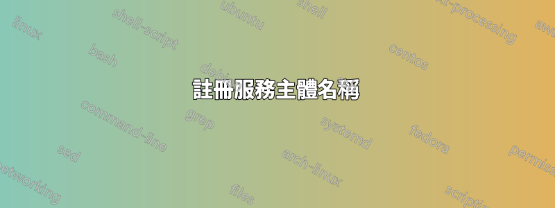 註冊服務主體名稱