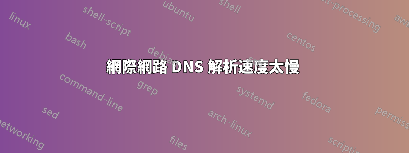 網際網路 DNS 解析速度太慢