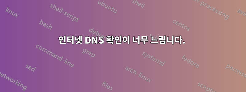 인터넷 DNS 확인이 너무 느립니다.