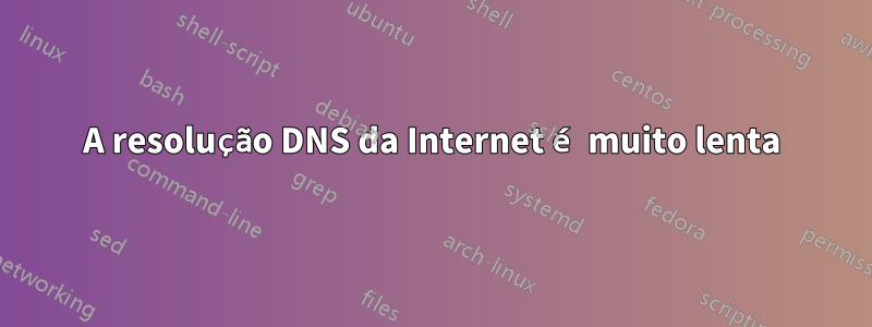 A resolução DNS da Internet é muito lenta