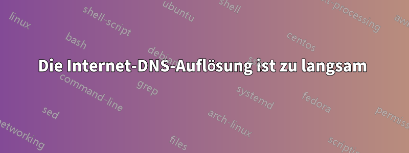 Die Internet-DNS-Auflösung ist zu langsam