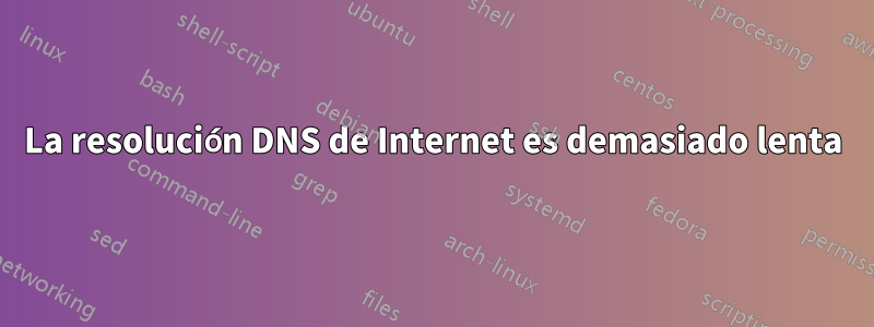 La resolución DNS de Internet es demasiado lenta