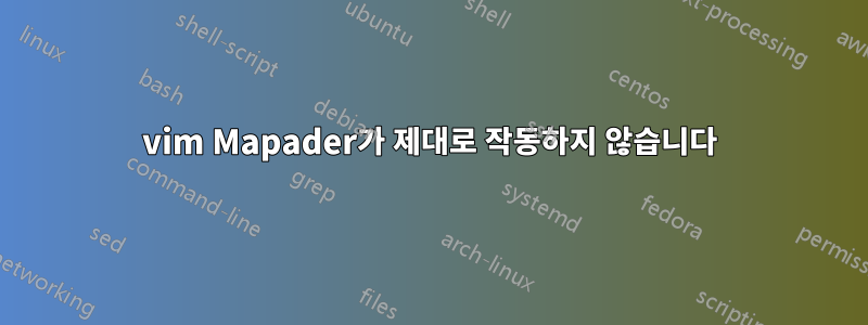 vim Mapader가 제대로 작동하지 않습니다