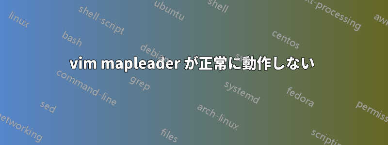 vim mapleader が正常に動作しない