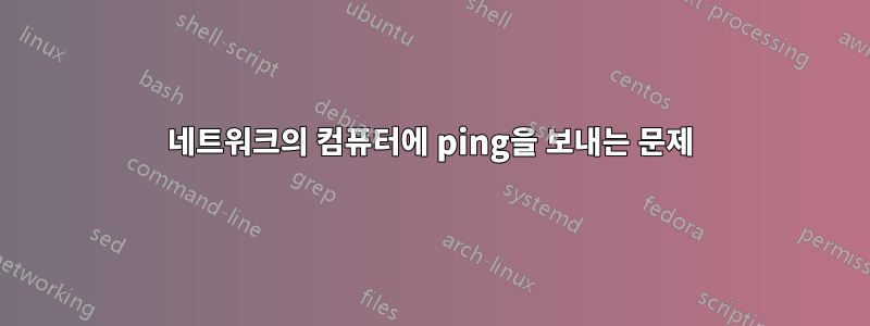 네트워크의 컴퓨터에 ping을 보내는 문제