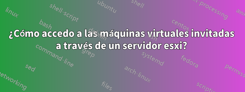 ¿Cómo accedo a las máquinas virtuales invitadas a través de un servidor esxi?