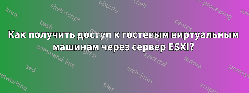 Как получить доступ к гостевым виртуальным машинам через сервер ESXI?