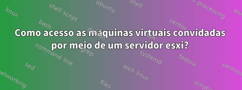 Como acesso as máquinas virtuais convidadas por meio de um servidor esxi?