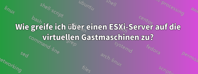 Wie greife ich über einen ESXi-Server auf die virtuellen Gastmaschinen zu?