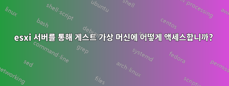 esxi 서버를 통해 게스트 가상 머신에 어떻게 액세스합니까?