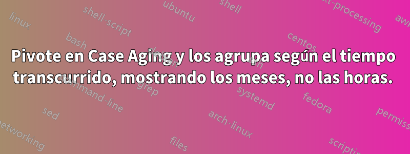 Pivote en Case Aging y los agrupa según el tiempo transcurrido, mostrando los meses, no las horas.